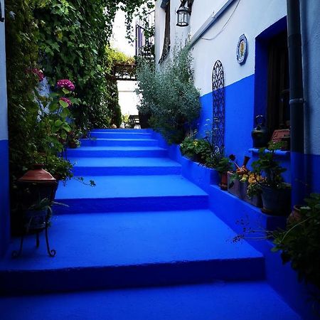 La Seguiriya Guest House Alhama de Granada Exterior photo